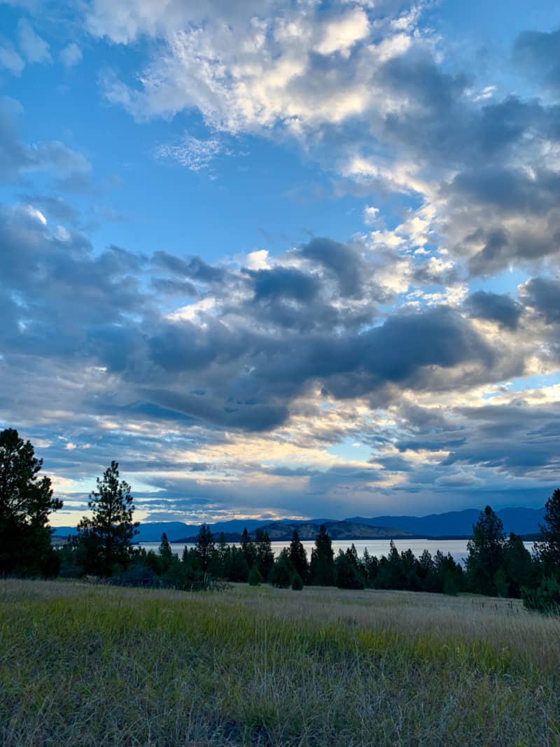 View of pine trees and a lake under a cloud speckled sky