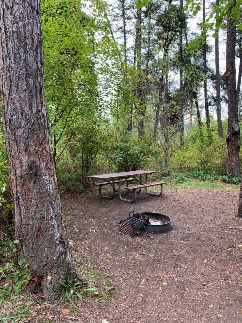 A wooded campsite with a picnic table and metal fire ring