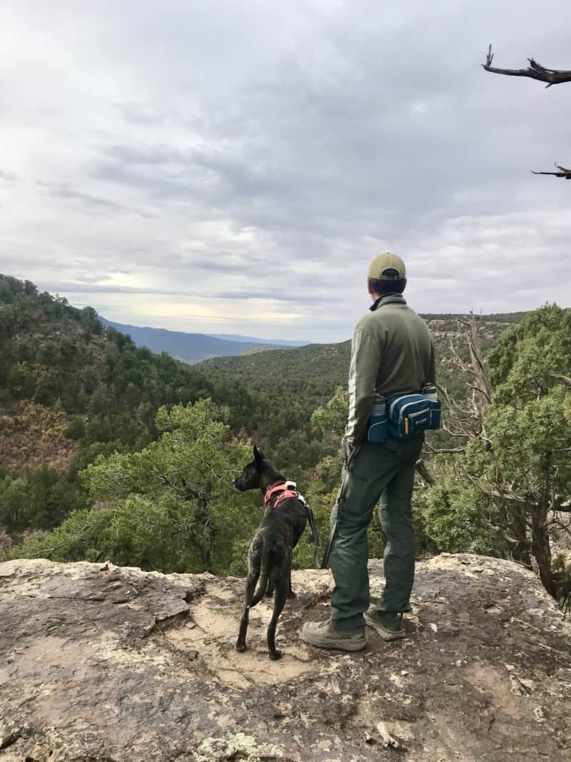 Man and dog looking at the view from Sand Canyon Pueblo in Canyon of the Ancients National Monument - Delores, CO
