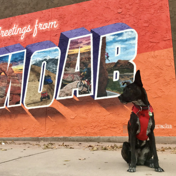 Your Ultimate Guide To Dog Friendly Moab, Utah