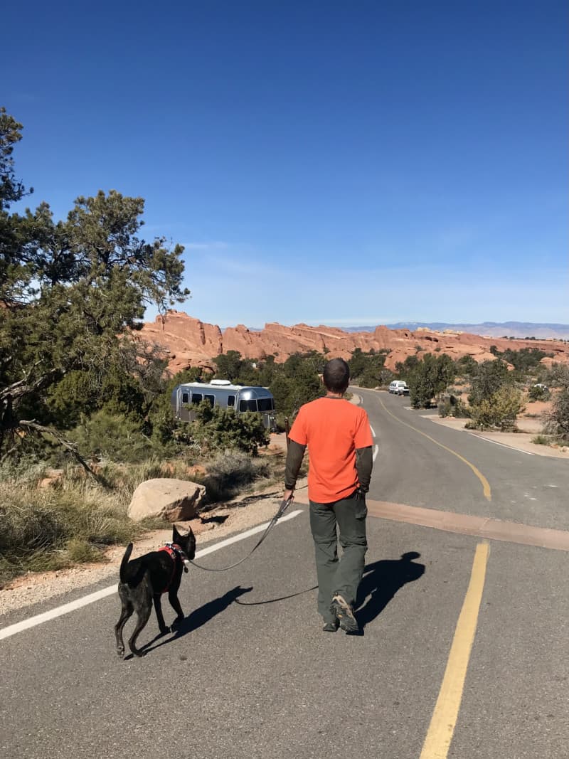 Man walking a brindle dog in a red harness on a paved campground road in Arches National Park - Moab, UT
