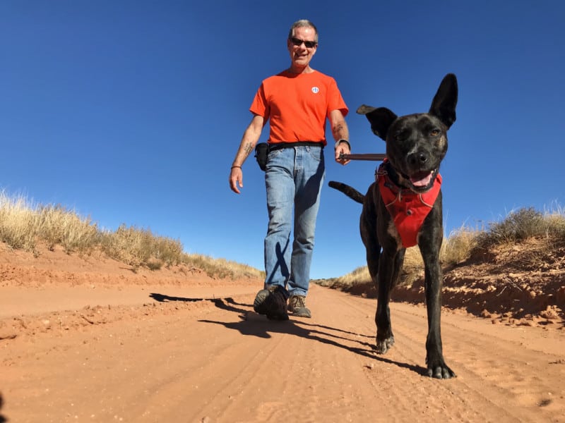 Man in orange t-shirt walking a smiling dog on Willow Flats Road in Arches National Park - Moab, UT