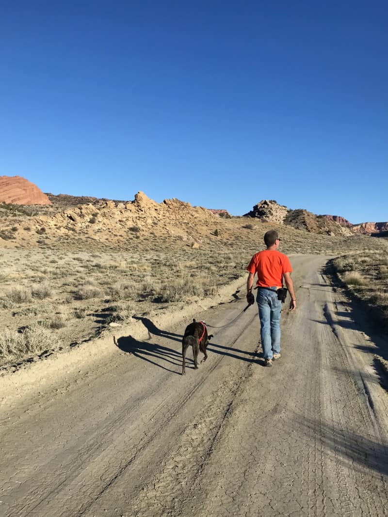 Man in orange t-shirt walking a dog on Cache Valley Road in Arches National Park - Moab, UT 