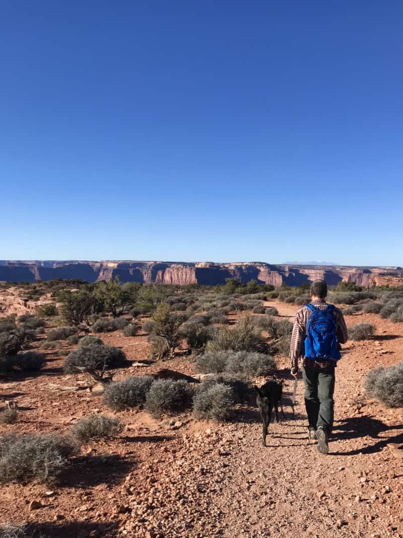 Man and dog walking on a trail at Dead Horse Point State Park near dog friendly Moab, UT