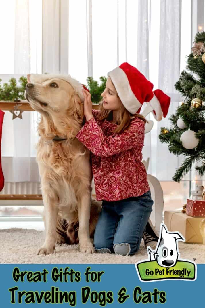 Dog Christmas gifts your furry friend will love - Tractive