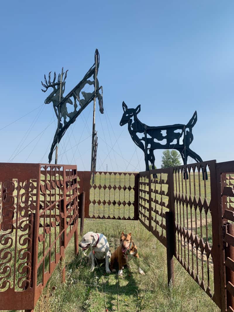 Two dogs posing in front of large metal sculptures of deer, part of the Enchanted Highway, one of the best dogs friendly spots in North Dakota