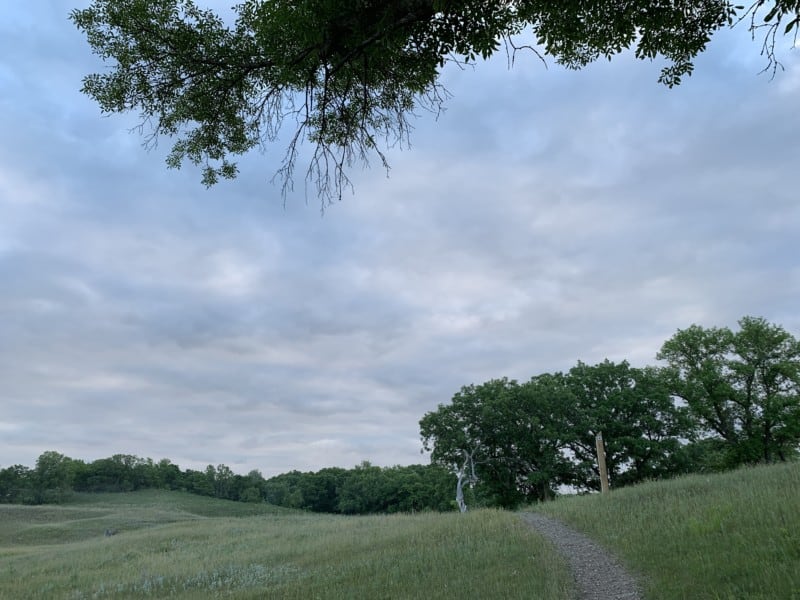 A hiking trail heading across a field into a wooded area