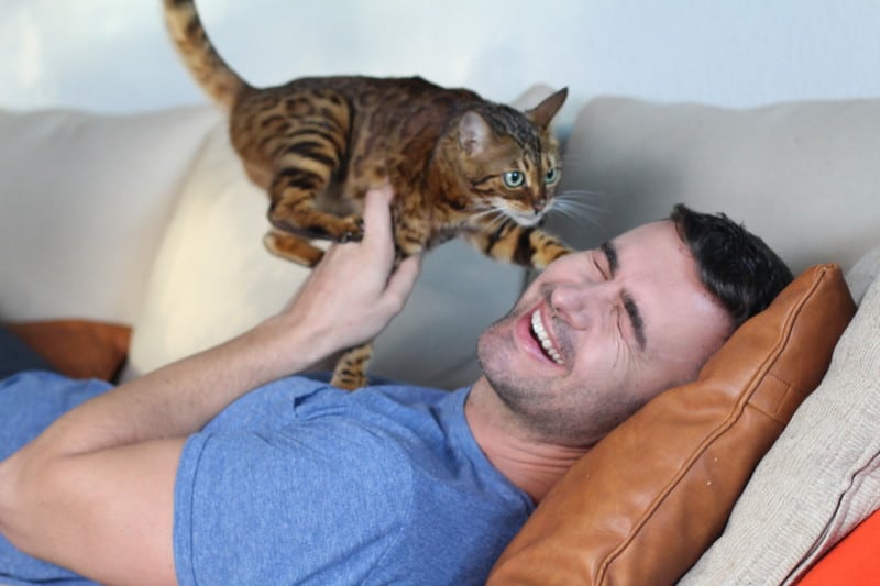 Man lying on sofa playing with striped cat