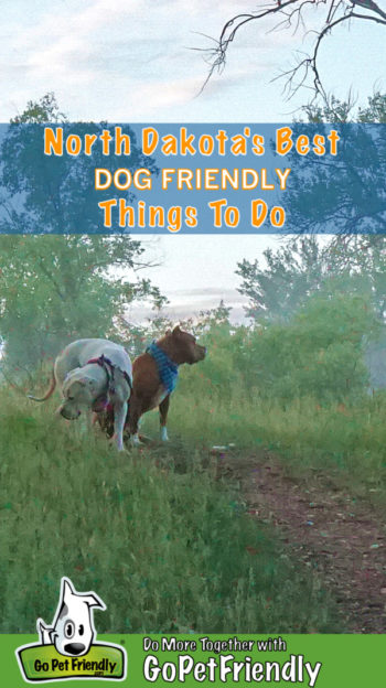 Two dogs on a dog friendly trail in North Dakota