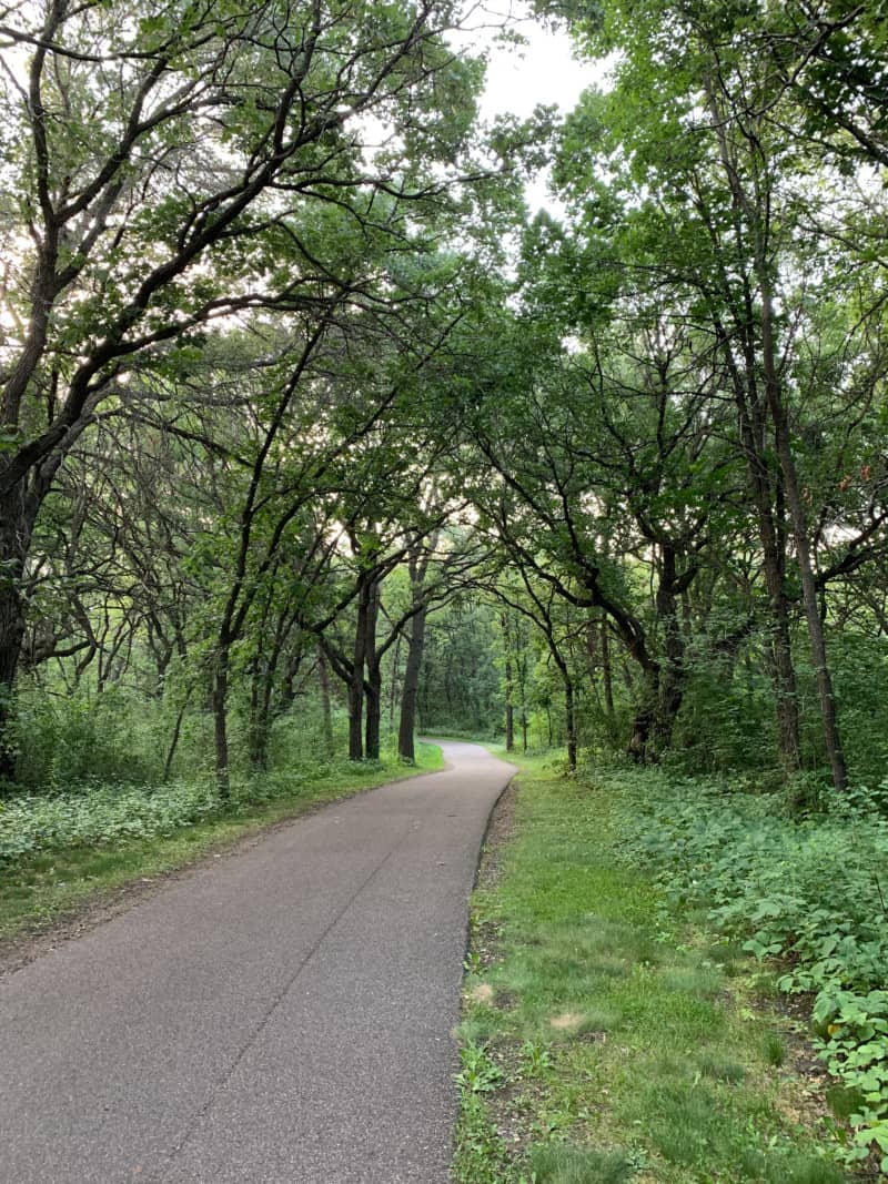A paved walking and biking path in a wooded park in Minneapolis, Minnesota