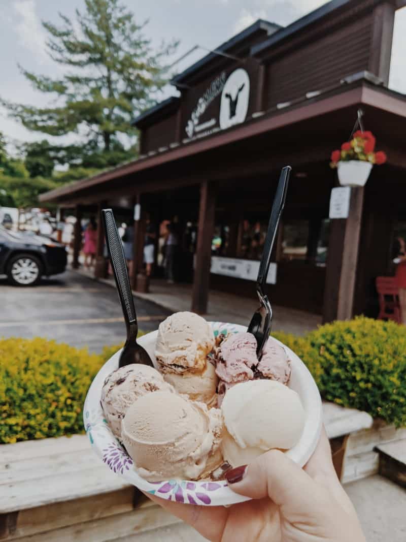 Dish of ice cream from Moomers in Traverse City, MI