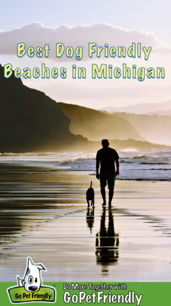 Man and dog walking on a beach at sunset