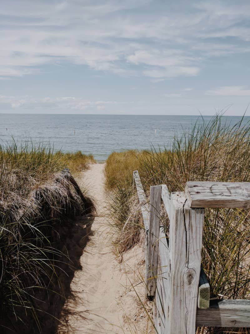 Port Crescent Beach - a dog friendly beach in Michigan