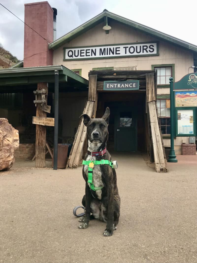 Queen Mine Tours in Bisbee, AZ