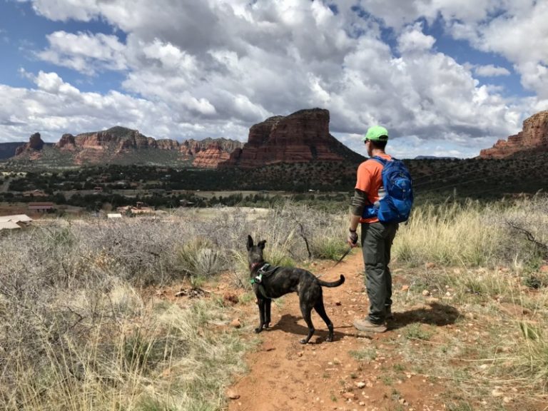 Dog Friendly Sedona, AZ: Where To Hike, Stay & Eat With Pets