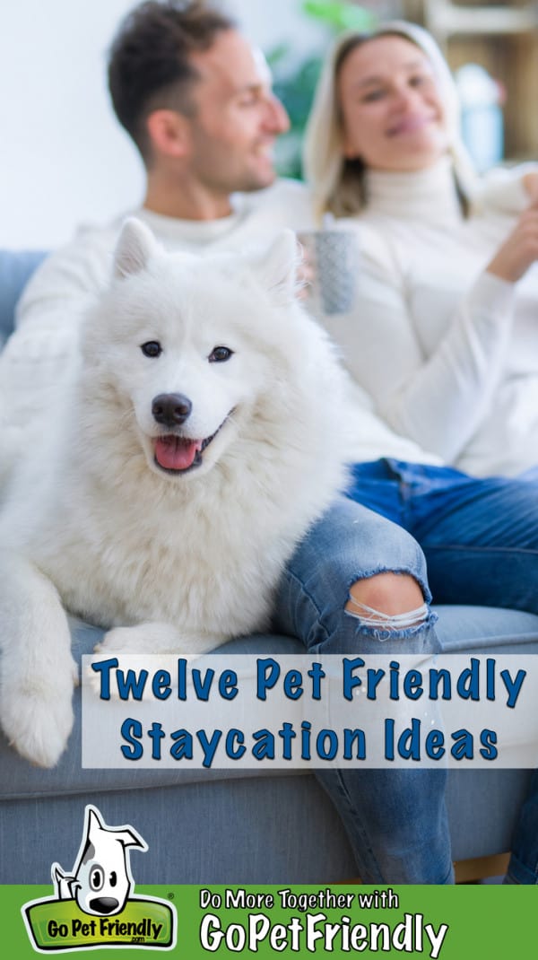 Couple drinking coffee on sofa with white dog