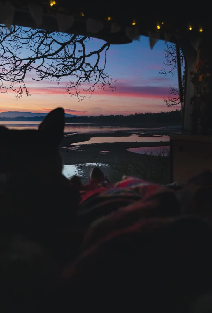 View of a pet dog car camping looking out over a colorful ocean sunset