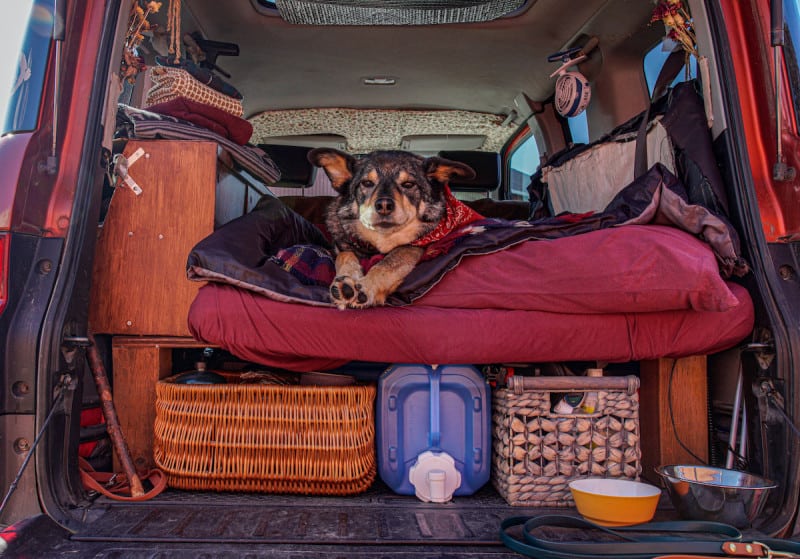 An example of an auto camp set up with a dog