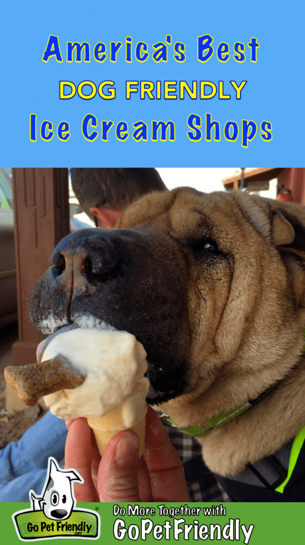 Dog Friendly Ice Cream S