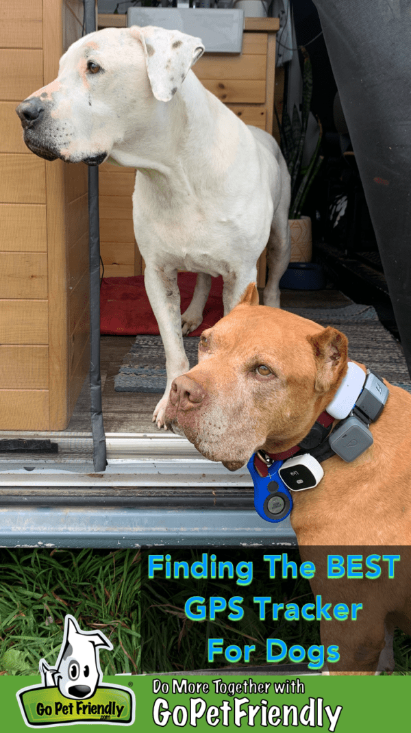 Tractive dog GPS collar review: Great budget tracking collar - Reviewed