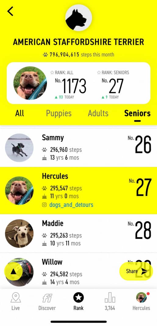 Screenshot of the Fi GPS dog tracking app showing the community step rankings. 