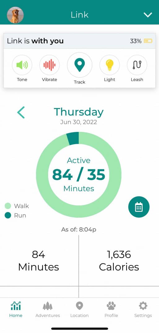 Screenshot of the Link GPS dog tracking app showing data on the dog's activity for the day. 