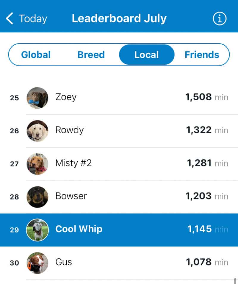 Screenshot of the Tractive GPS dog tracking app showing a leaderboard of each dog's activity level.
