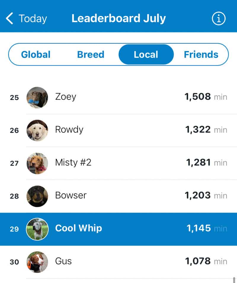 What are the different leaderboards? – Tractive Help Center