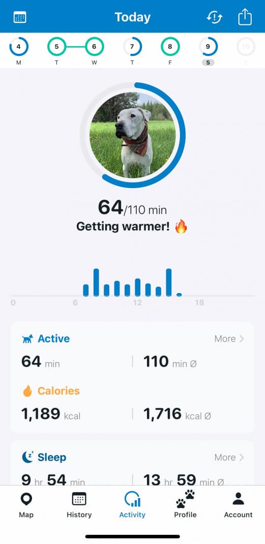 Screenshot of the Tractive GPS dog tracking app displaying your dog's activity data. 