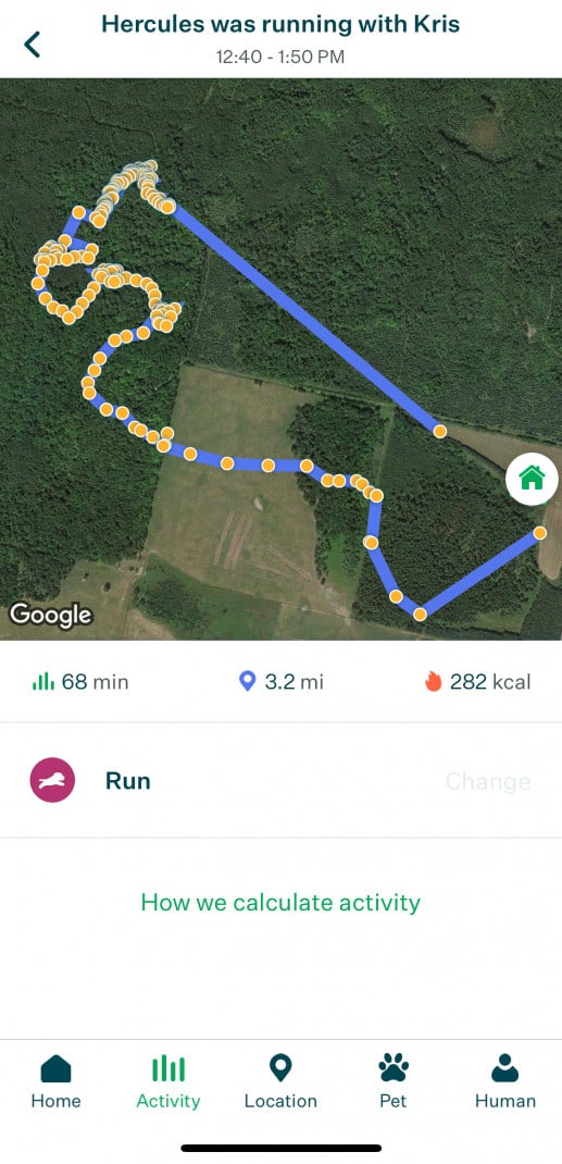 Screenshot of the Whistle Health + GPS dog tracking app displaying a map of where the dog was active. 