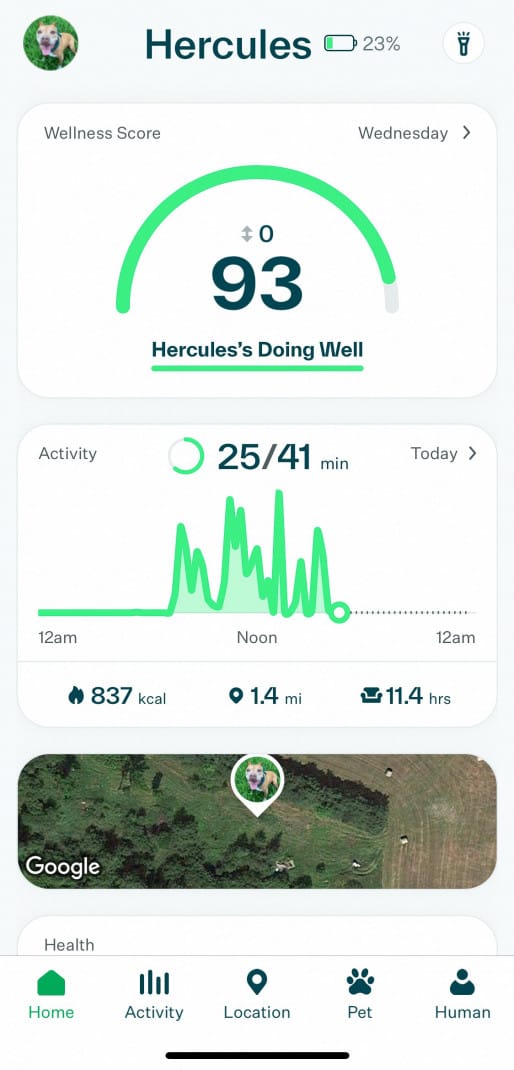 Screenshot of the Whistle Health + GPS dog tracking app displaying the dog's activity data. 