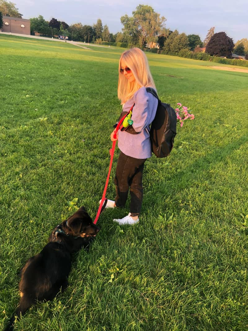 Black and tan puppy on a red leash with a young blond woman in a grassy park