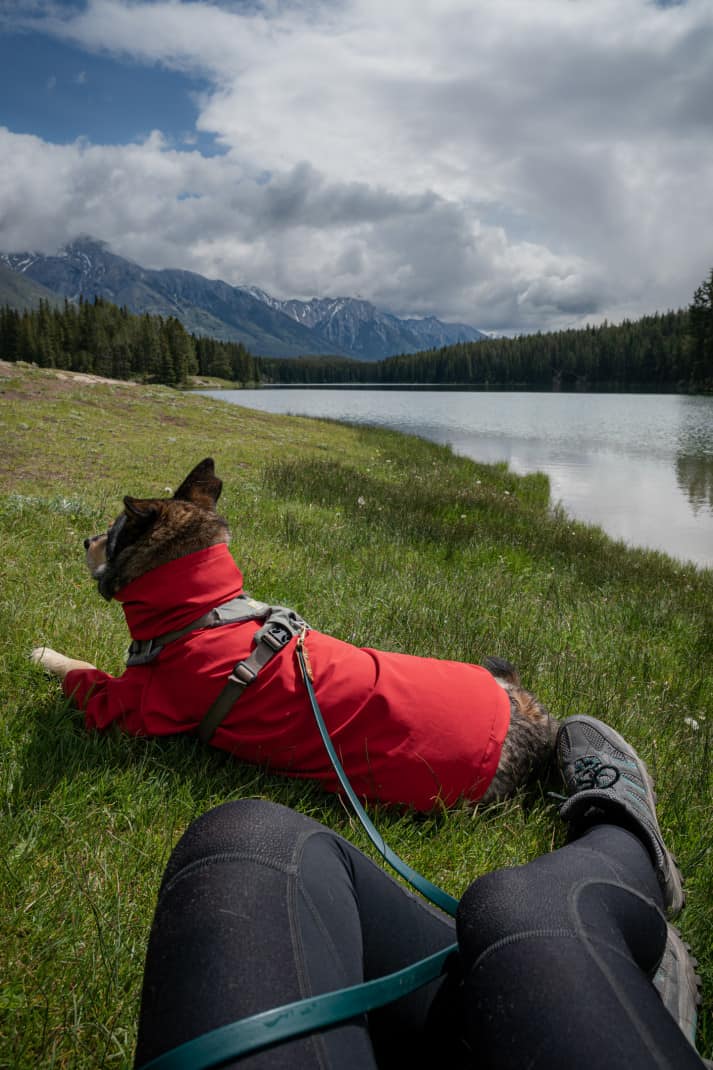 Woman sitting with her dog at the pet friendly Johnson Lake in Banff.