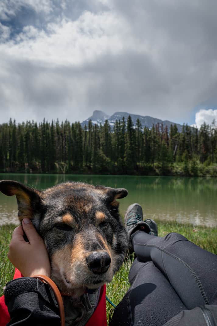 Woman petting her dog at pet friendly Banff lake.