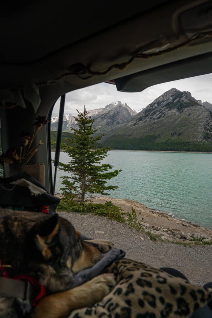 Dog sleeping in a van parking with lake and mountain views at Lake Minnewanka, Banff.