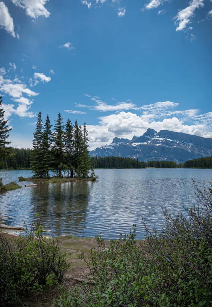 View from dog friendly trail at Two Jack Lake, Banff. Small tree island in the lake with mountains in the background.