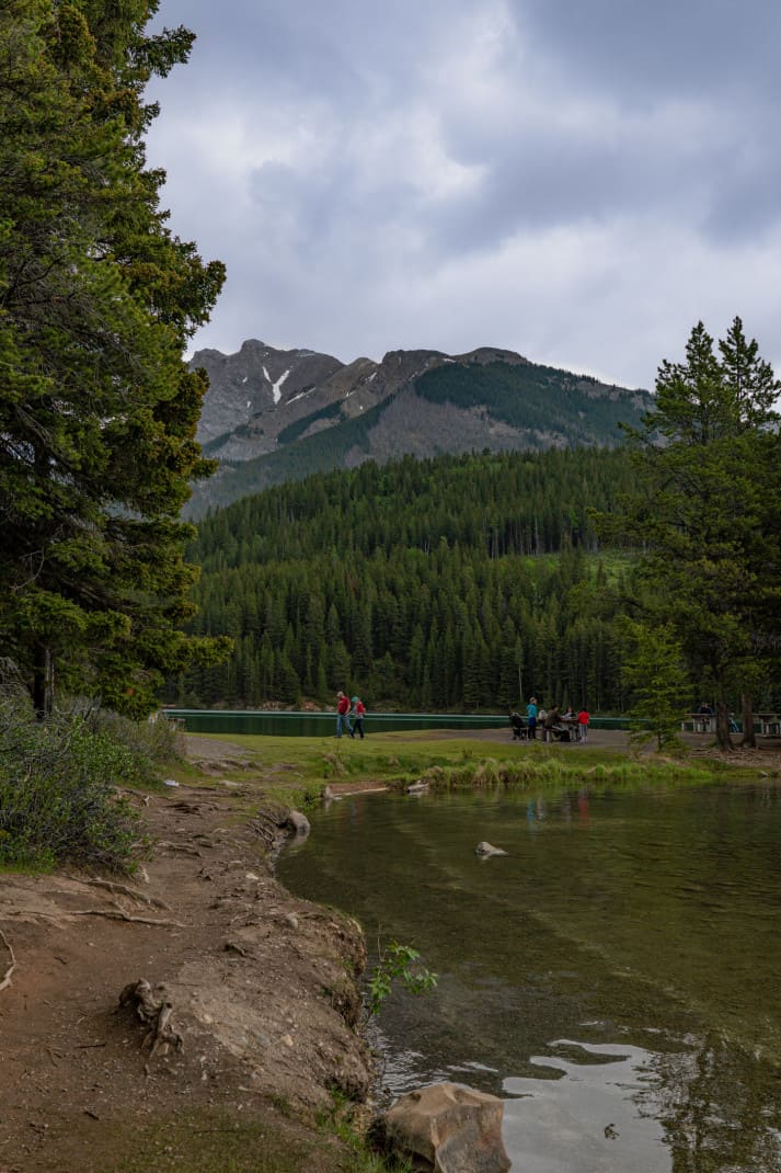 Families having a pet friendly picnic at Two Jack Lake Banff