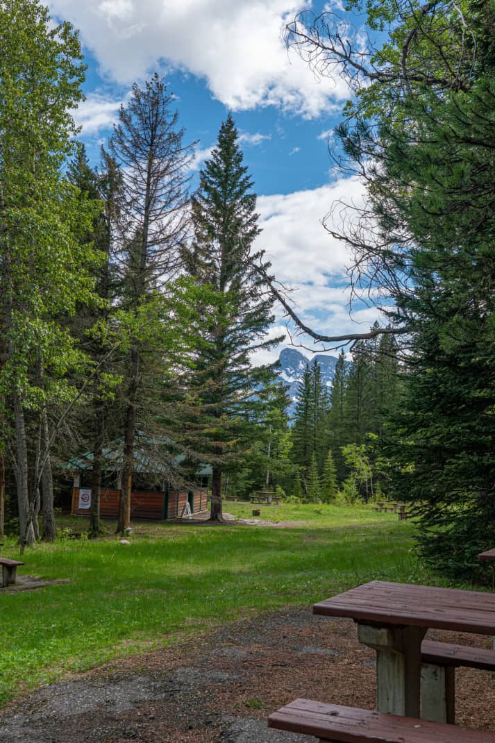 Picnic tables and grassy area at Bankhead for a pet friendly picnic in Banff.