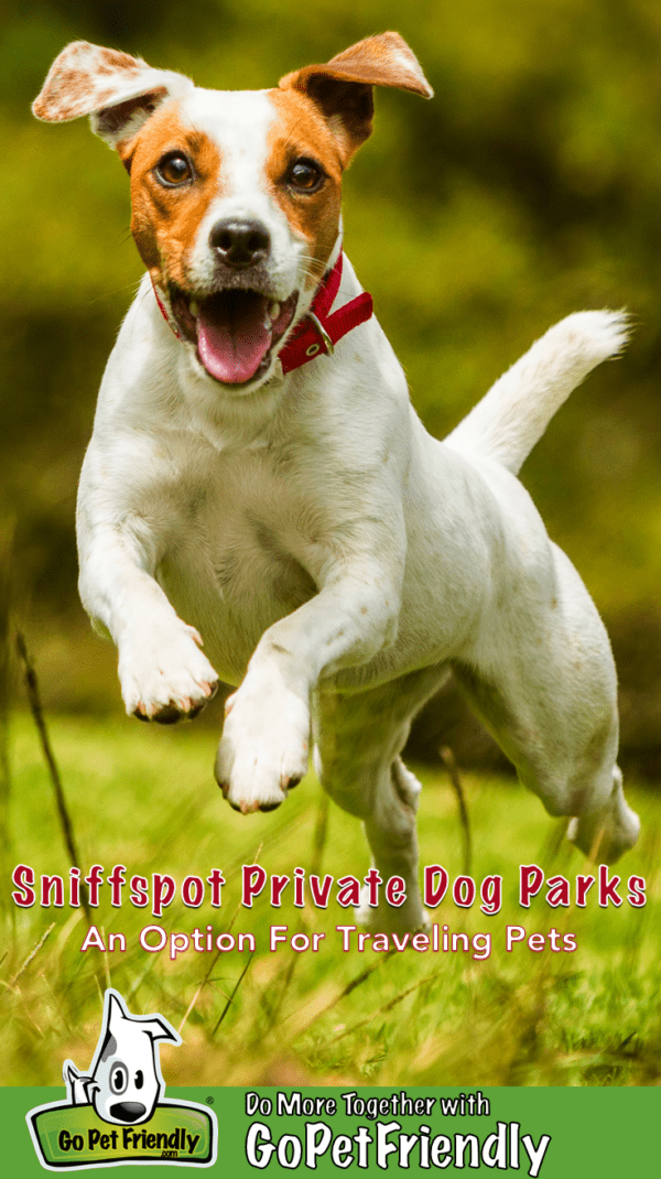 Sniffspot Private Dog Parks: An Option For Traveling Dogs