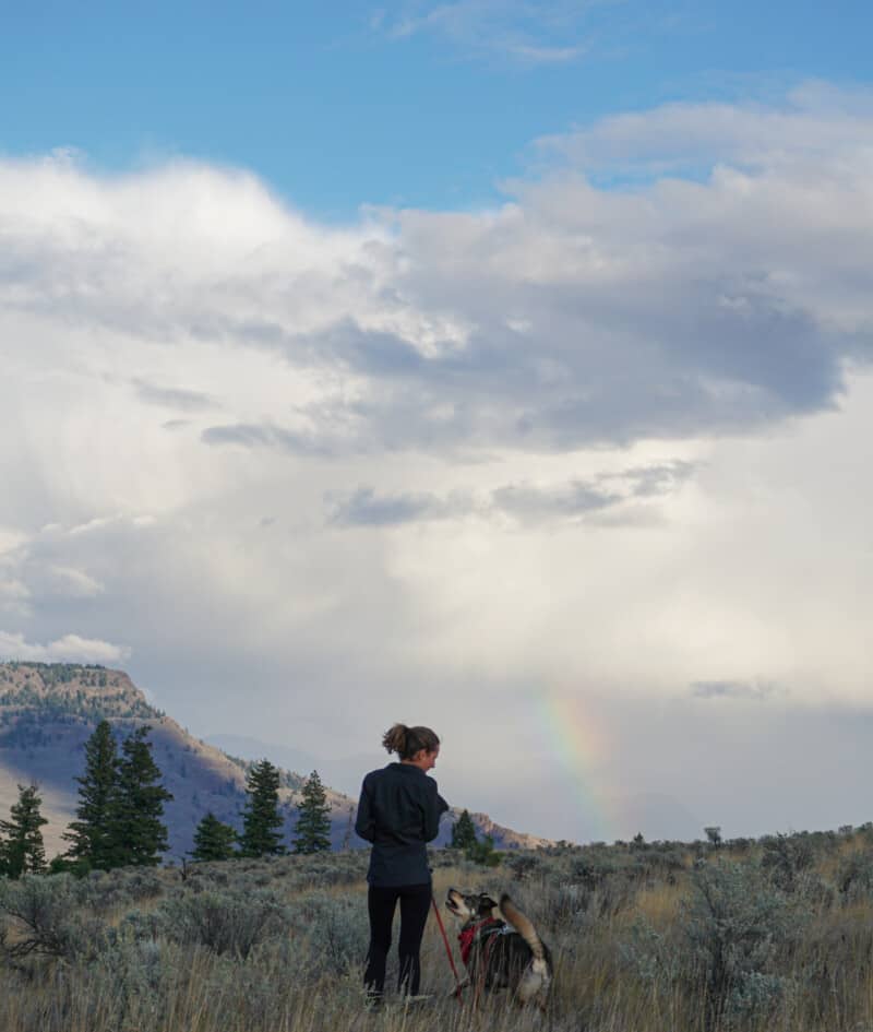 A woman and her dog walking together in the Kamloops grasslands on a road trip from Vancouver to Kamloops. There is also a rainbow in the distance.
