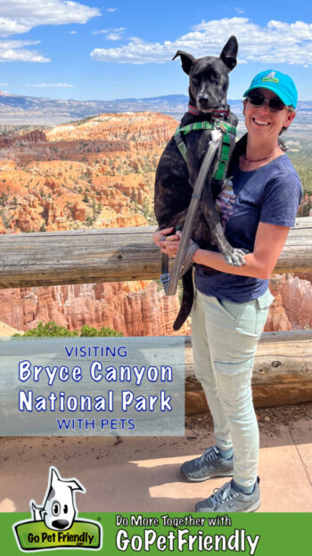 Woman holding a brindle dog near a log railing at Bryce Canyon National Park, UT