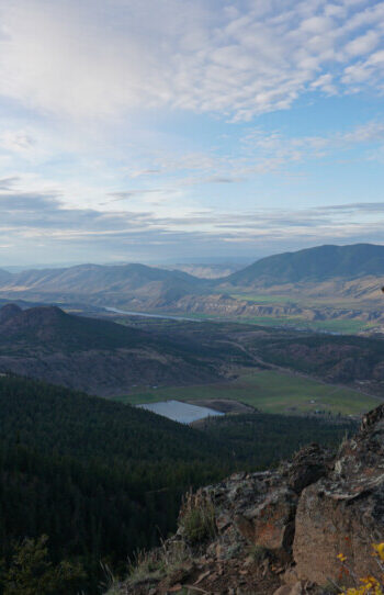 Cattle dog enjoying the view at Buse Hill Park in Kamloops, BC
