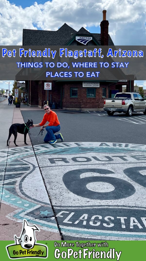 Man and a dog on the Route 66 sign painted on the parking lot at the Visitor Center in Flagstaff, AZ