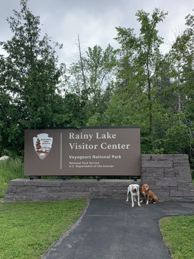 Two dogs posing in front of the Voyageurs National Park Rainy Lake Visitor Center sign