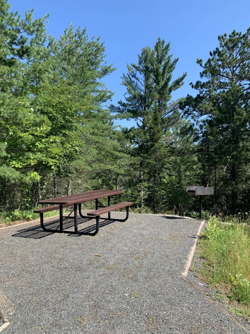 A picnic area with a picnic table and metal grill surrounded by pine trees in Voyageurs National Park