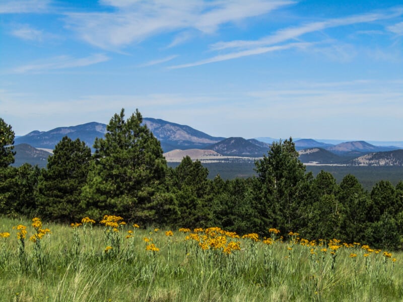 Humphrey Peak in the summer - Flagstaff, AZ