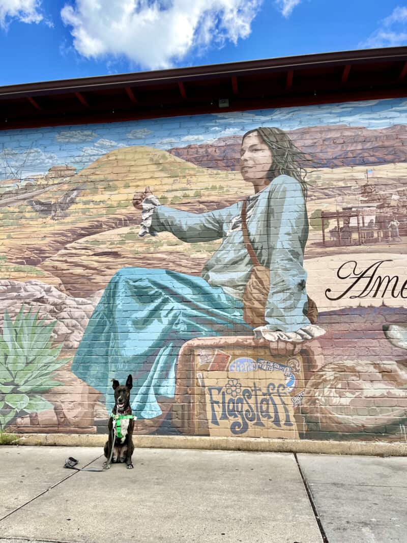Brindle dog sitting in front of a mural of a hitchhiking woman in Flagstaff, AZ
