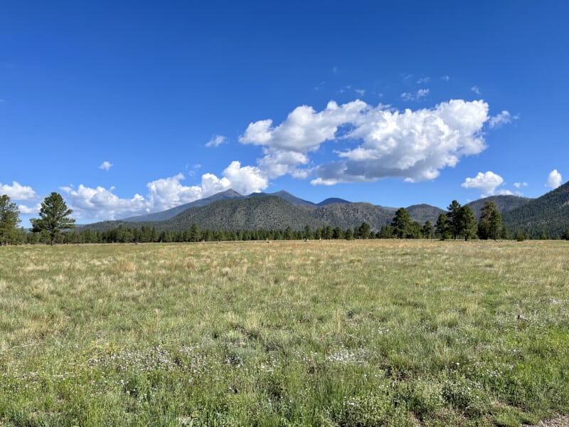 Mountain view at Buffalo Park in Flagstaff, AZ