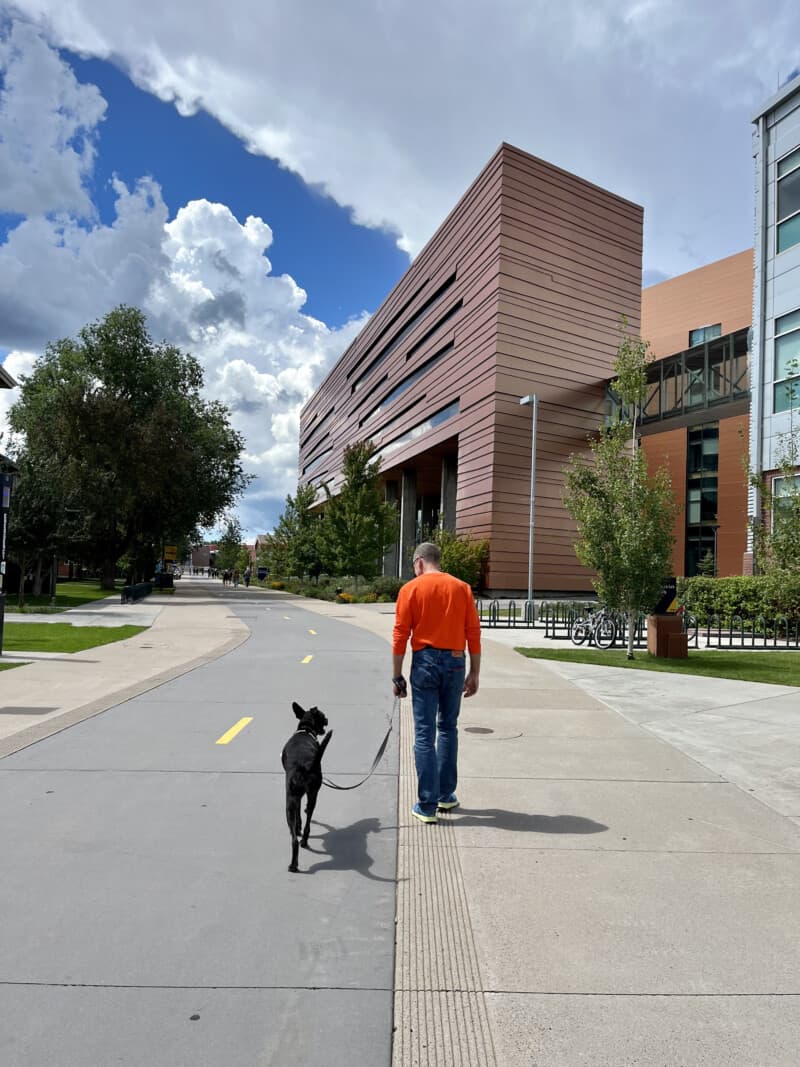 Man and dog walking on a paved path on the Northern Arizona University campus in Flagstaff, AZ