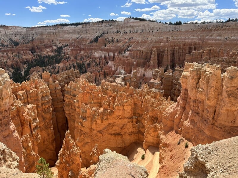 Landscape at Bryce Canyon National Park, UT